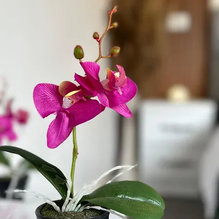 Feti Xhone Apartamento Ksamil